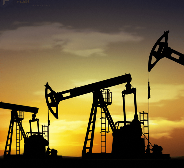 Oil Sector